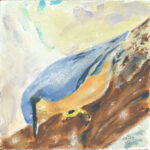 Kleiber / Aquarell