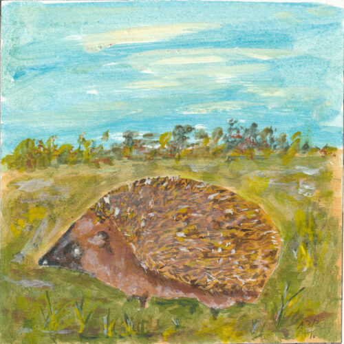Igel / Acryl auf Papier