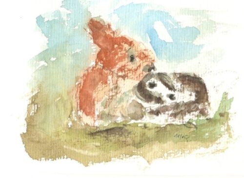 Hase, Aquarell