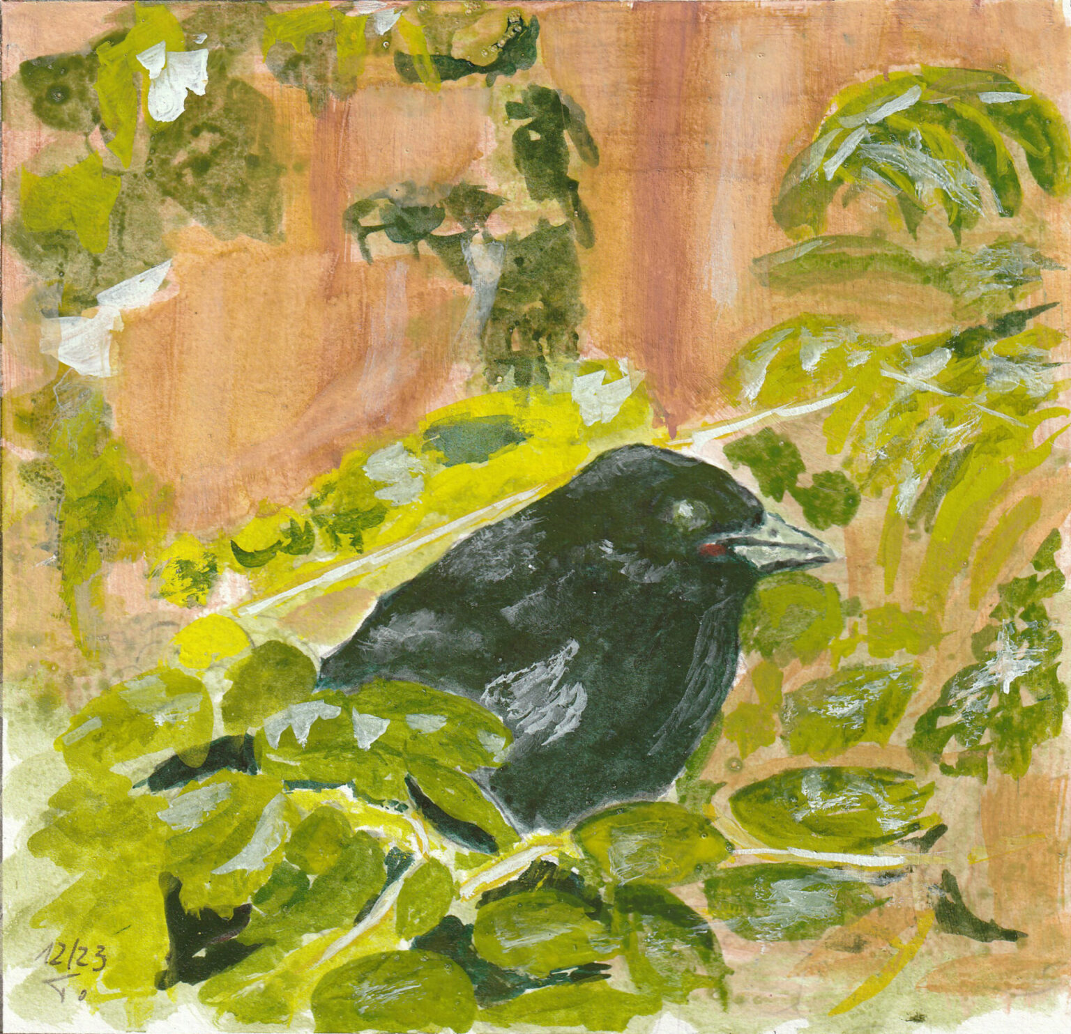 Nestling einer Rabenkrähe / Acryl auf Papier
