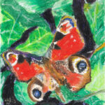 Schmetterling / Ölpastell auf Papier