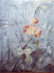 BAUERNROSE / Aquarell / 60 x 40 cm / Eigenbesitz