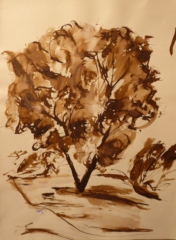 BAUM Tusche / 30 x 40 cm / 350 €