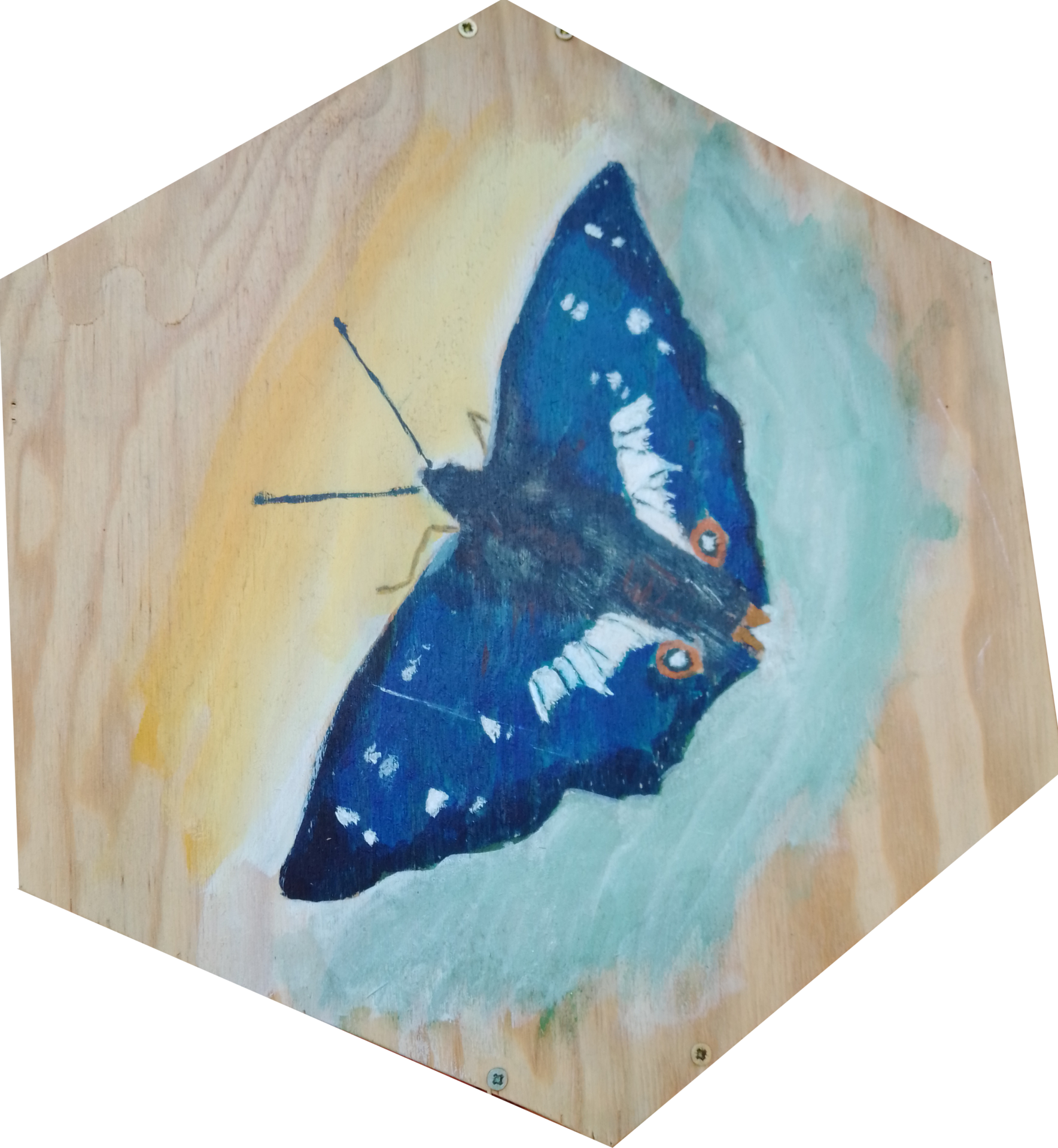 Schmetterling, Acryl auf Holz