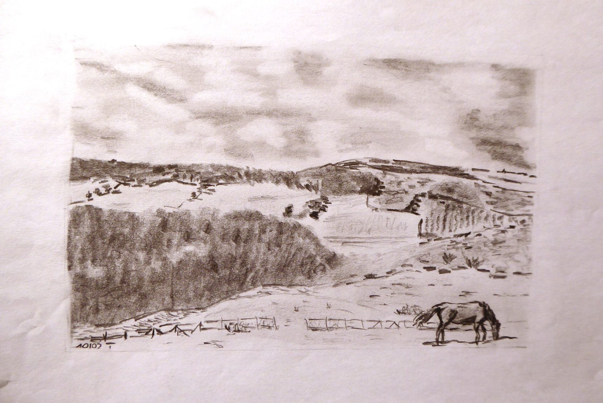 Anton-Wallisch, Pferd, Landschaft, Bleistiftzeichnung