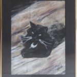 Tierporträt Katze