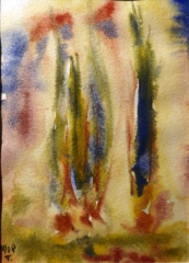 ZYPRESSEN aquarell / 20 x 30 cm / 250 €