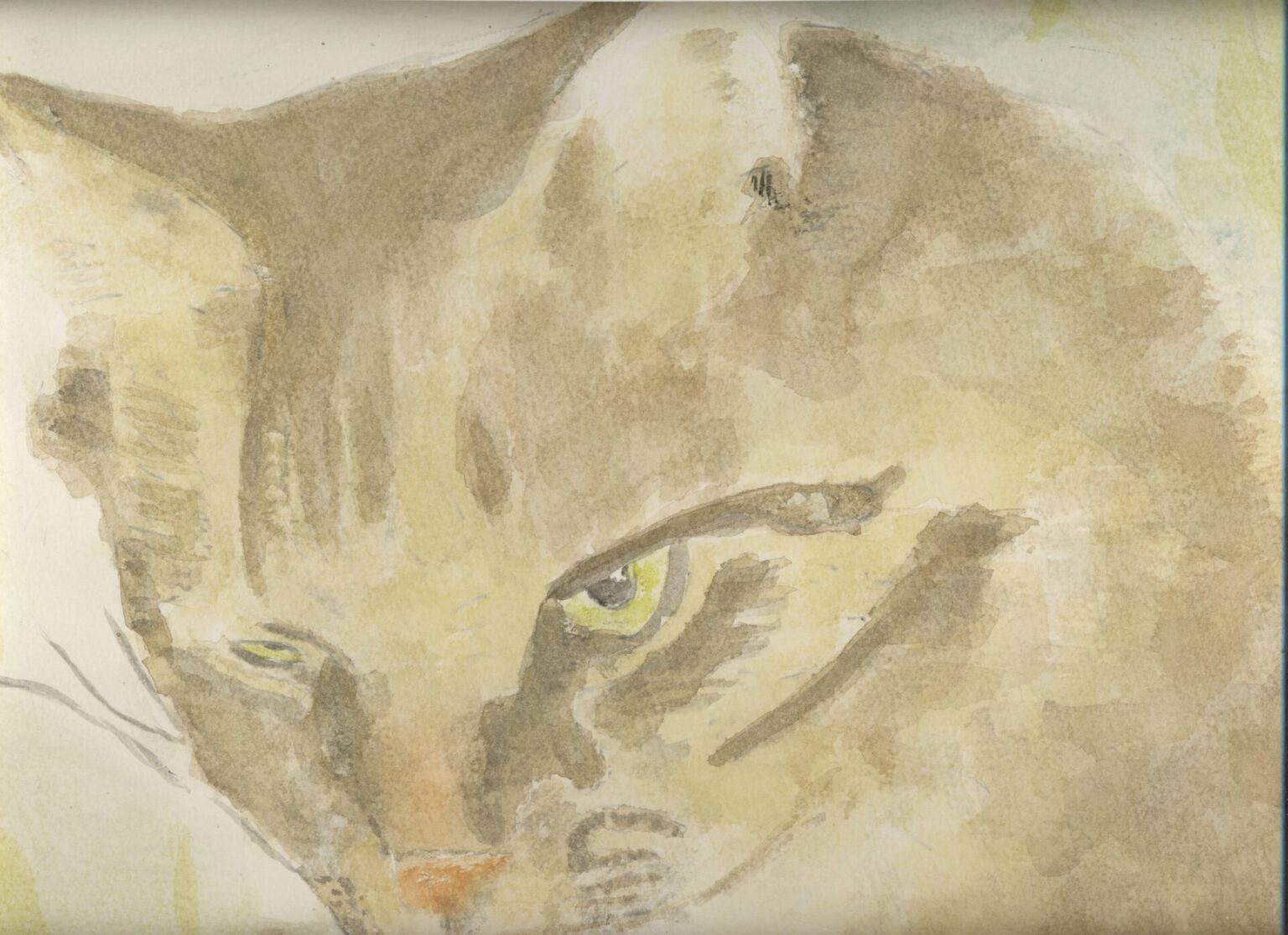 Katze, Aquarell