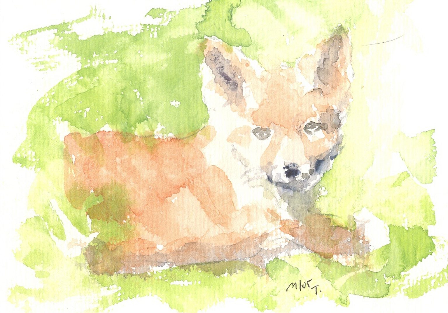Fuchs, Aquarell